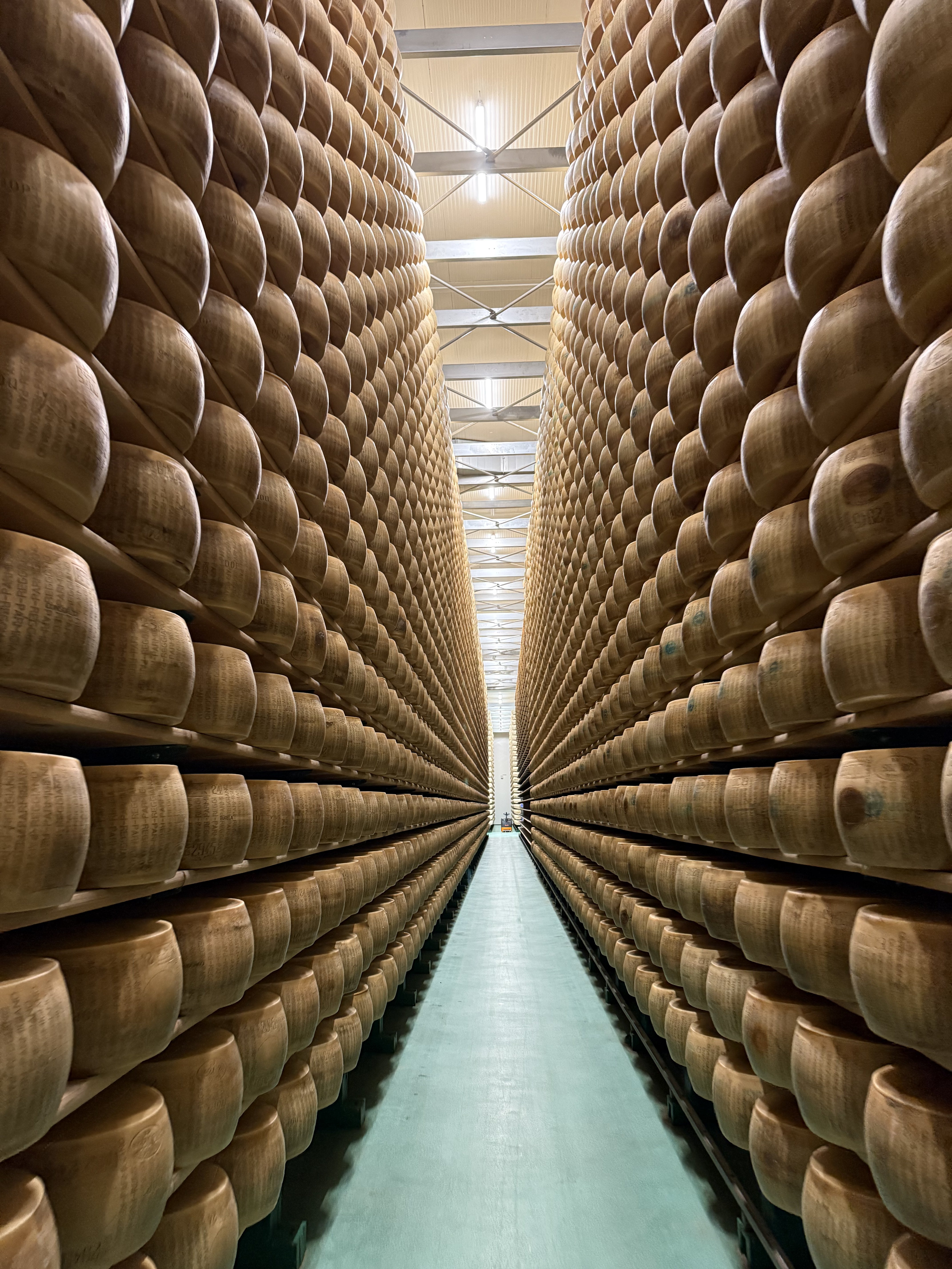 The aging room at Bio Sant'Anna
